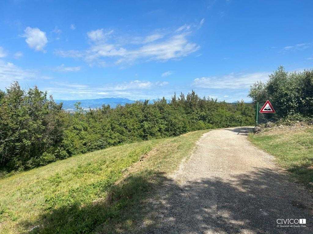  - foto 19