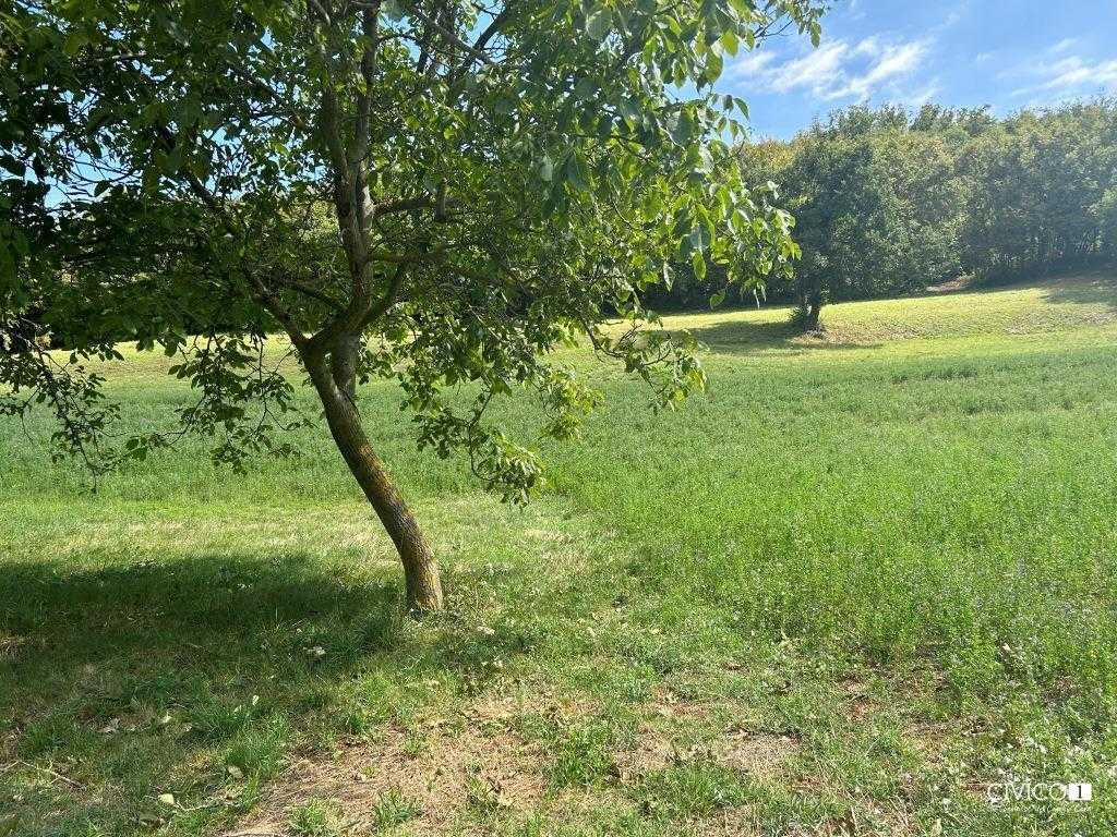  - foto 24