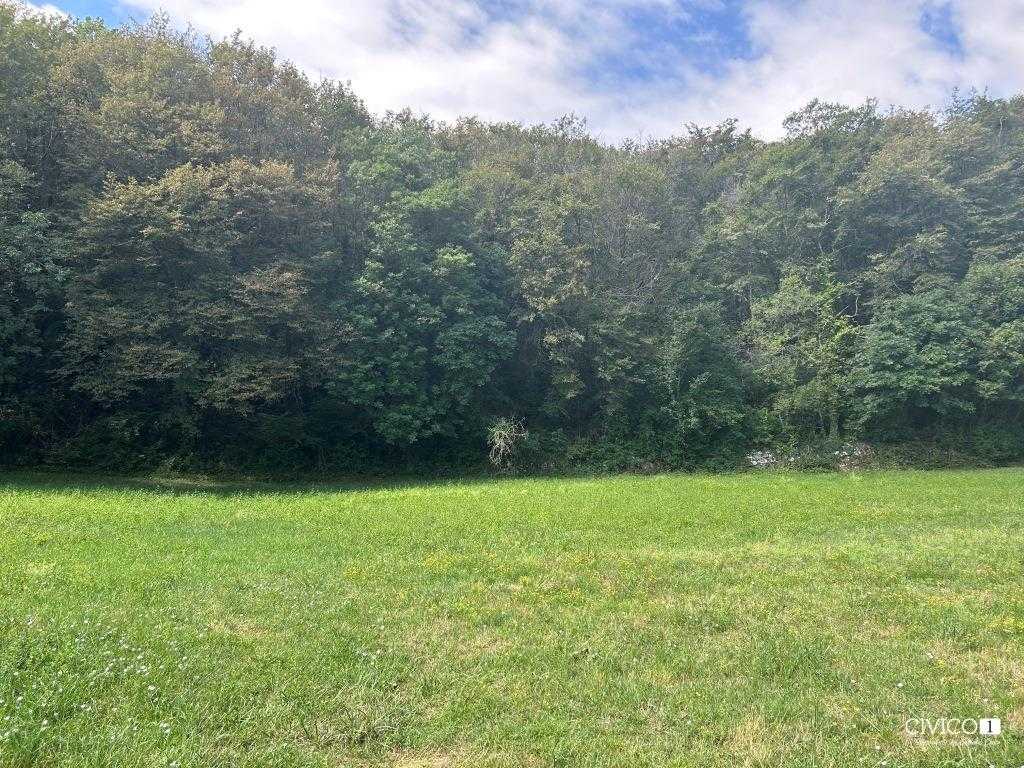  - foto 27