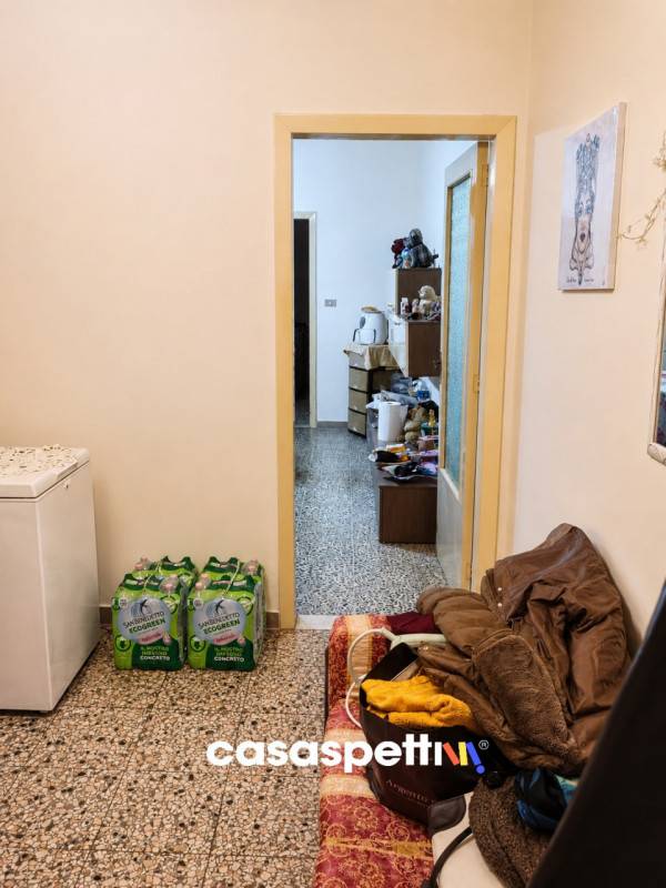  - foto 3