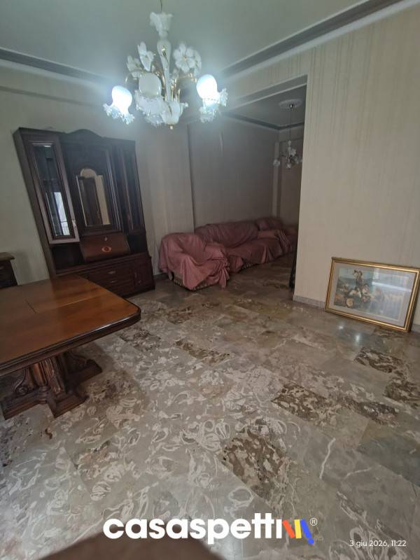  - foto 5