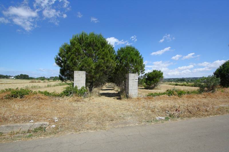 Altro Parabita, Parabita