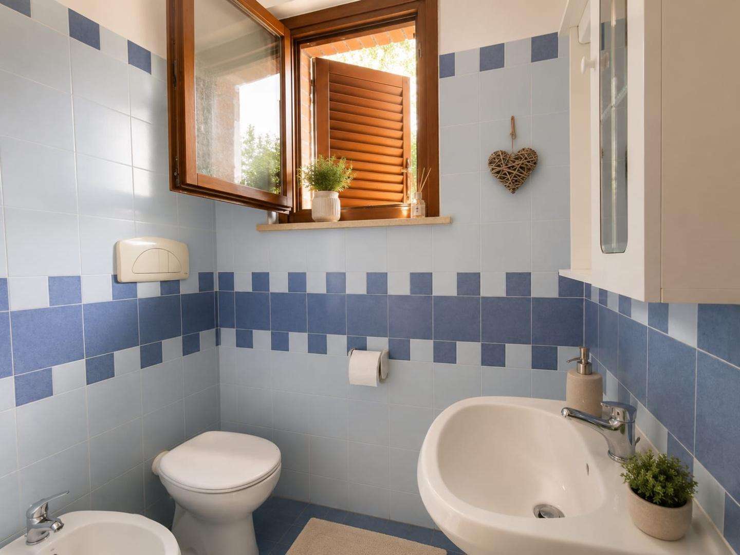  - foto 11