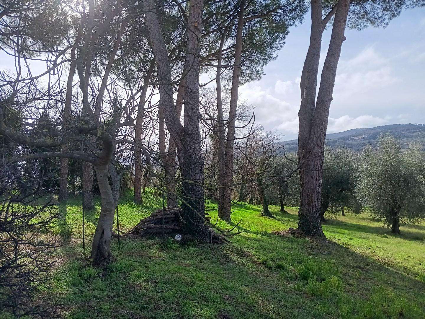  - foto 4