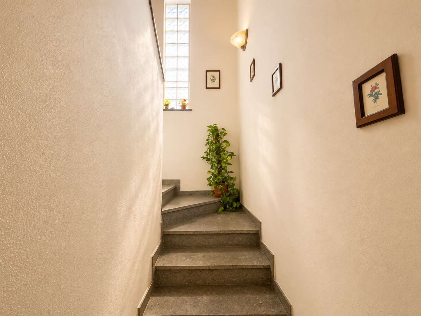  - foto 13