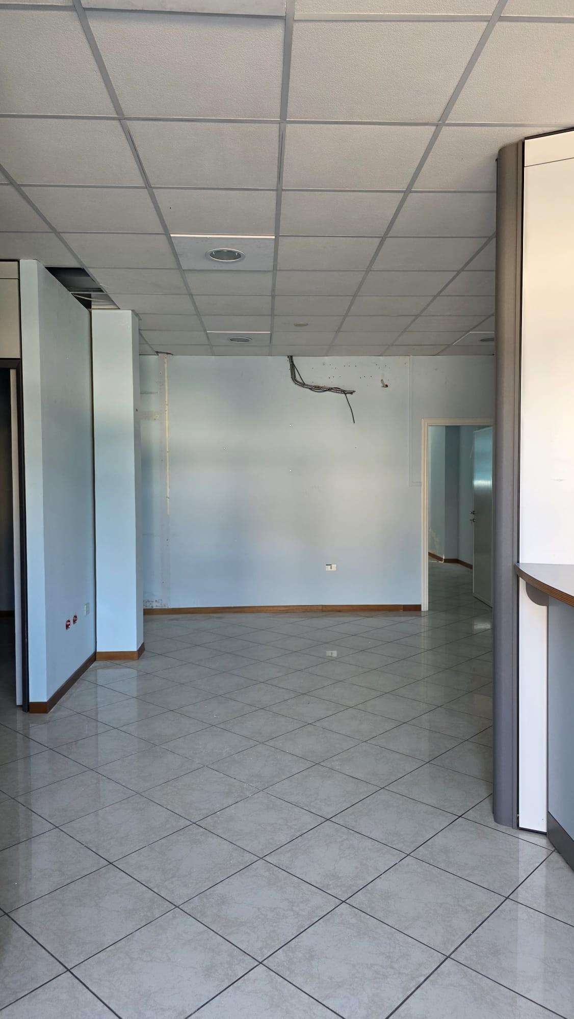  - foto 13