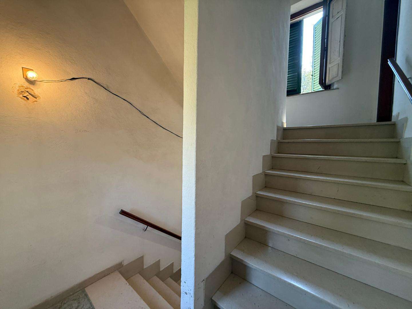  - foto 9