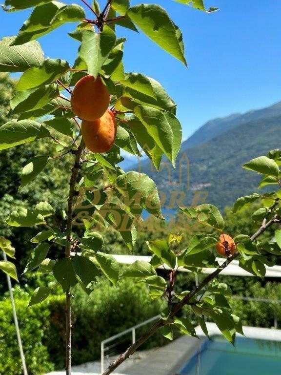  - foto 54
