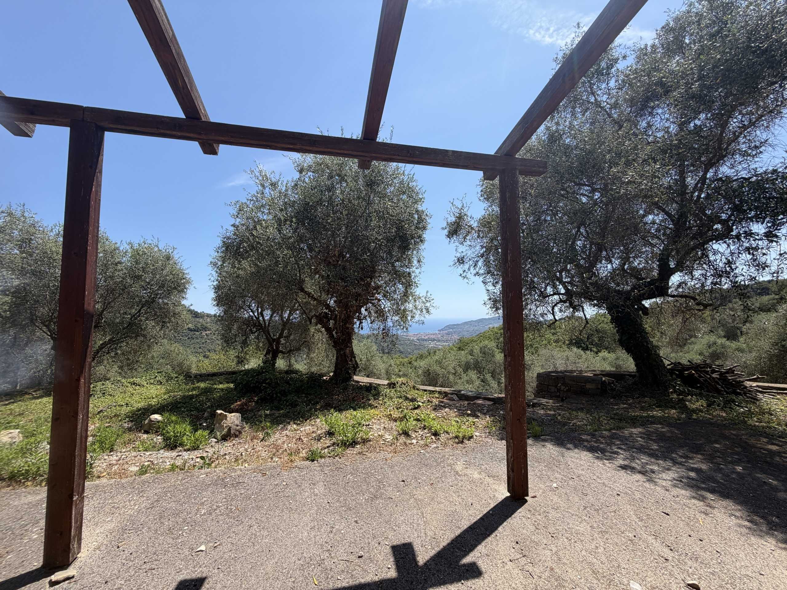  - foto 12