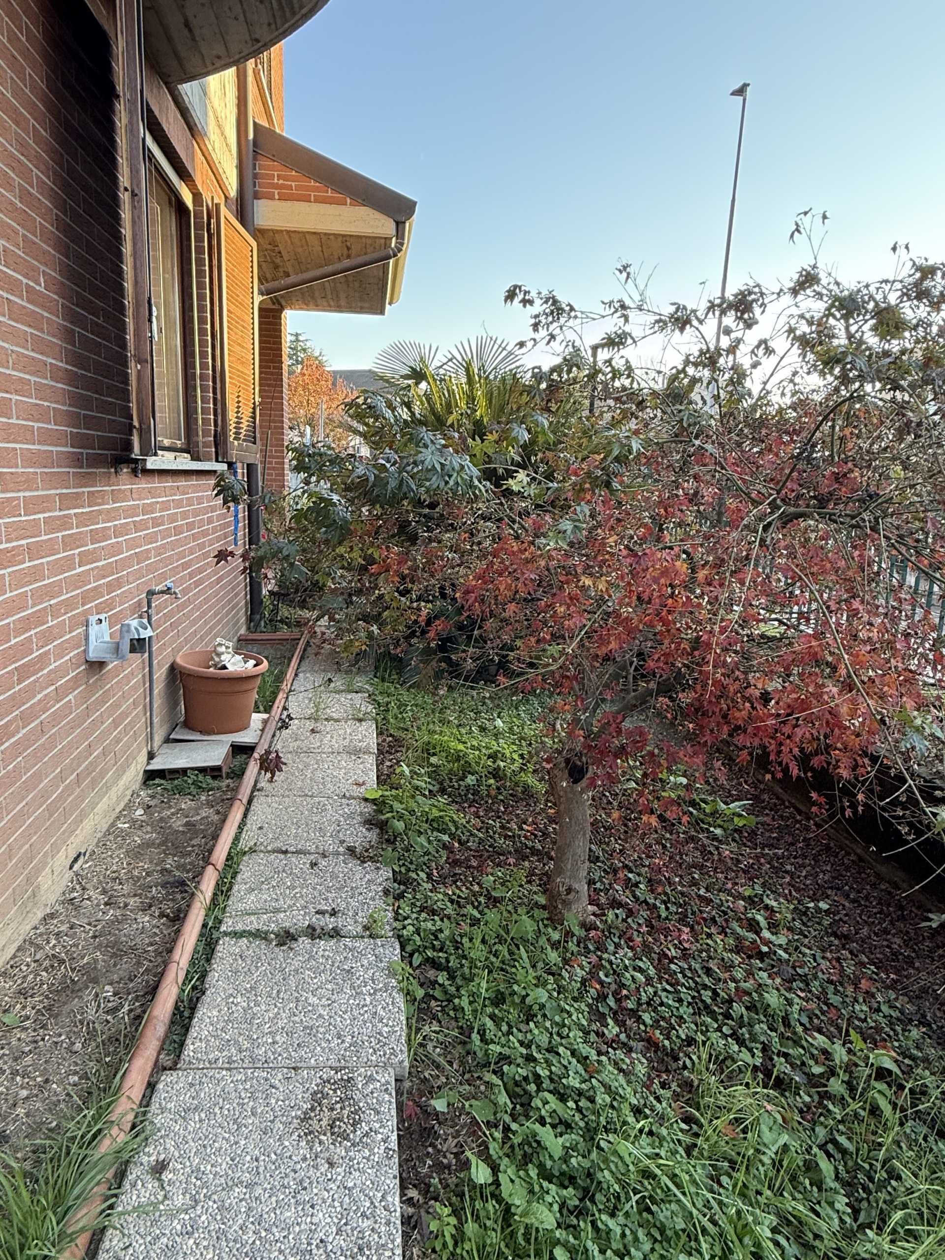  - foto 55