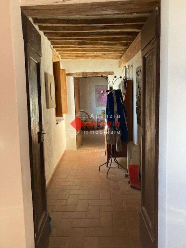  - foto 11