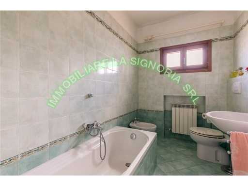  - foto 24