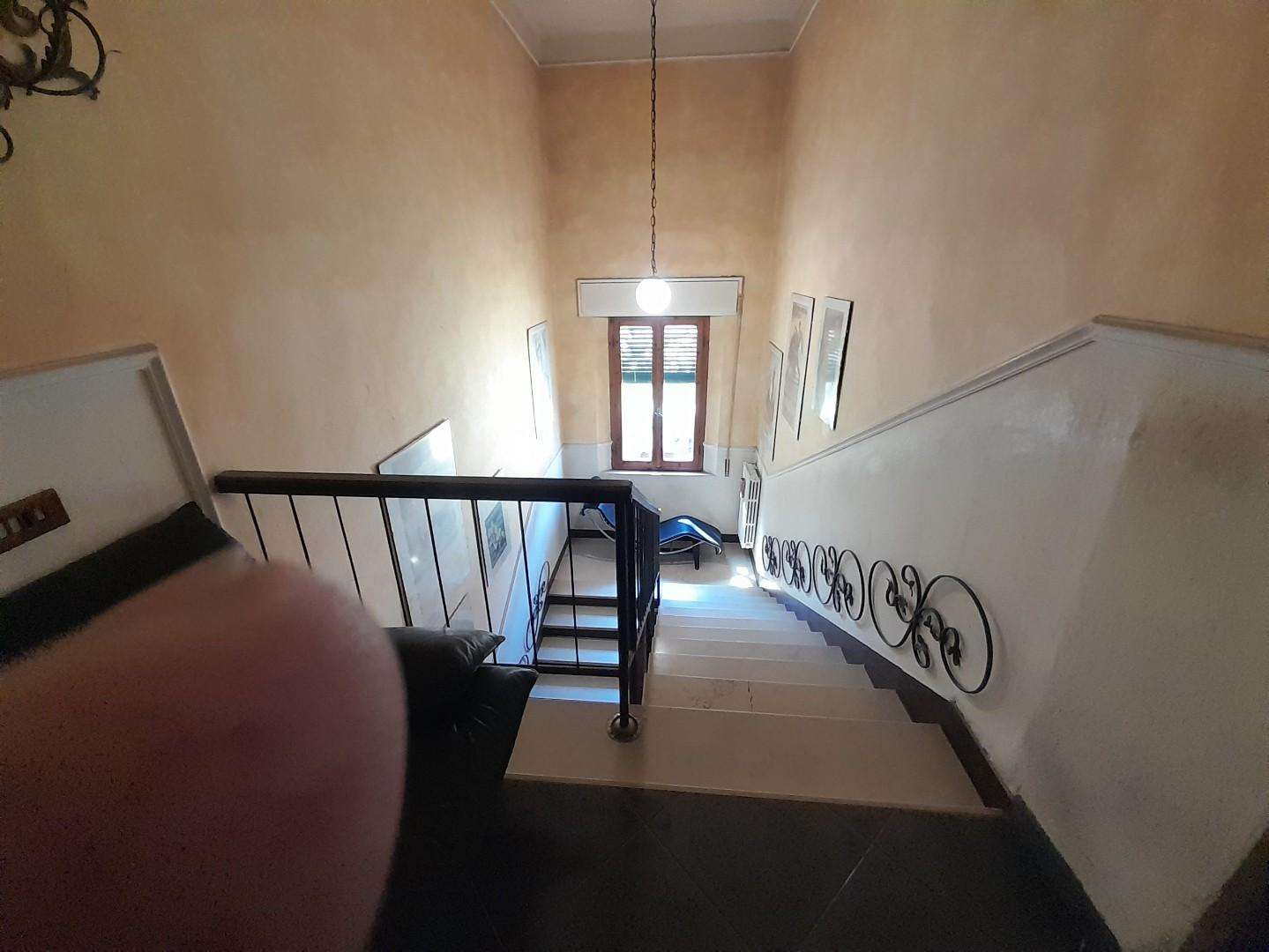  - foto 13