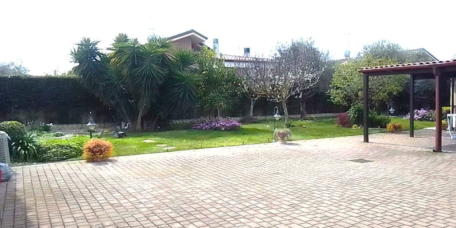 - foto 2