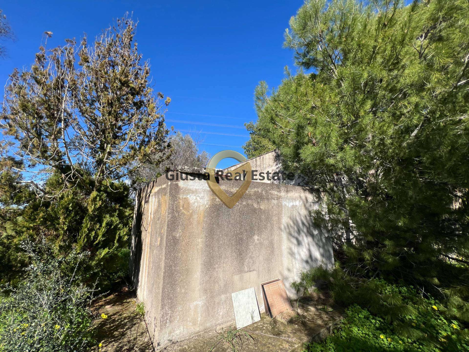  - foto 15