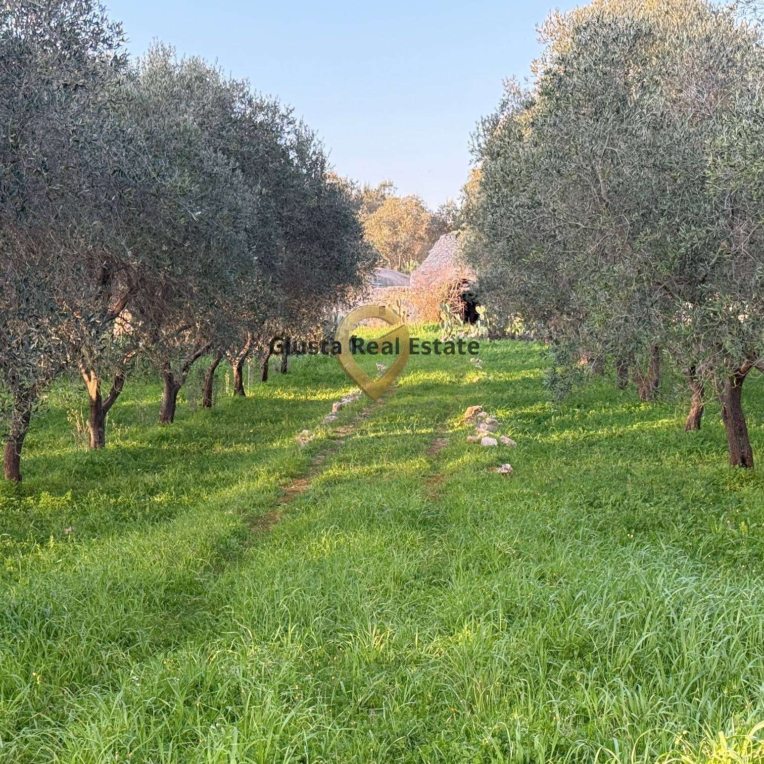  - foto 4