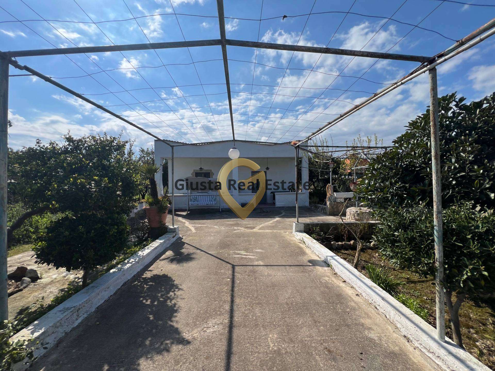 - foto 4