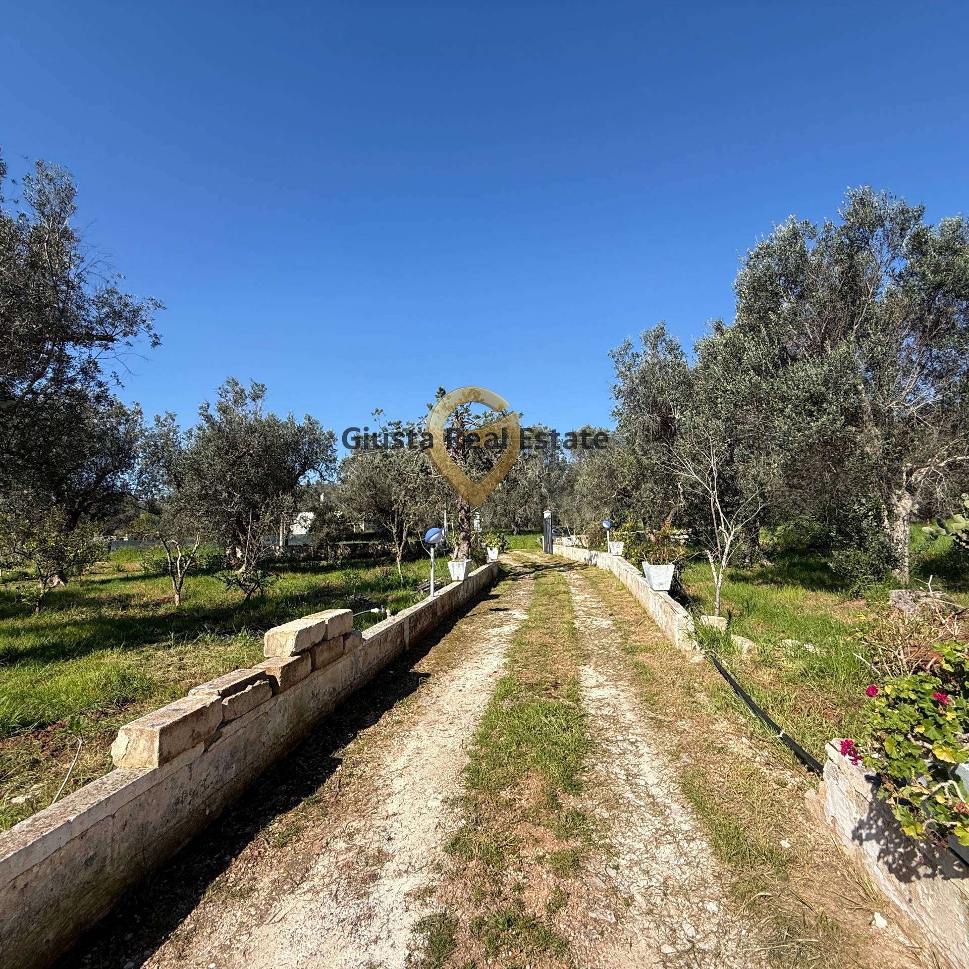 - foto 9