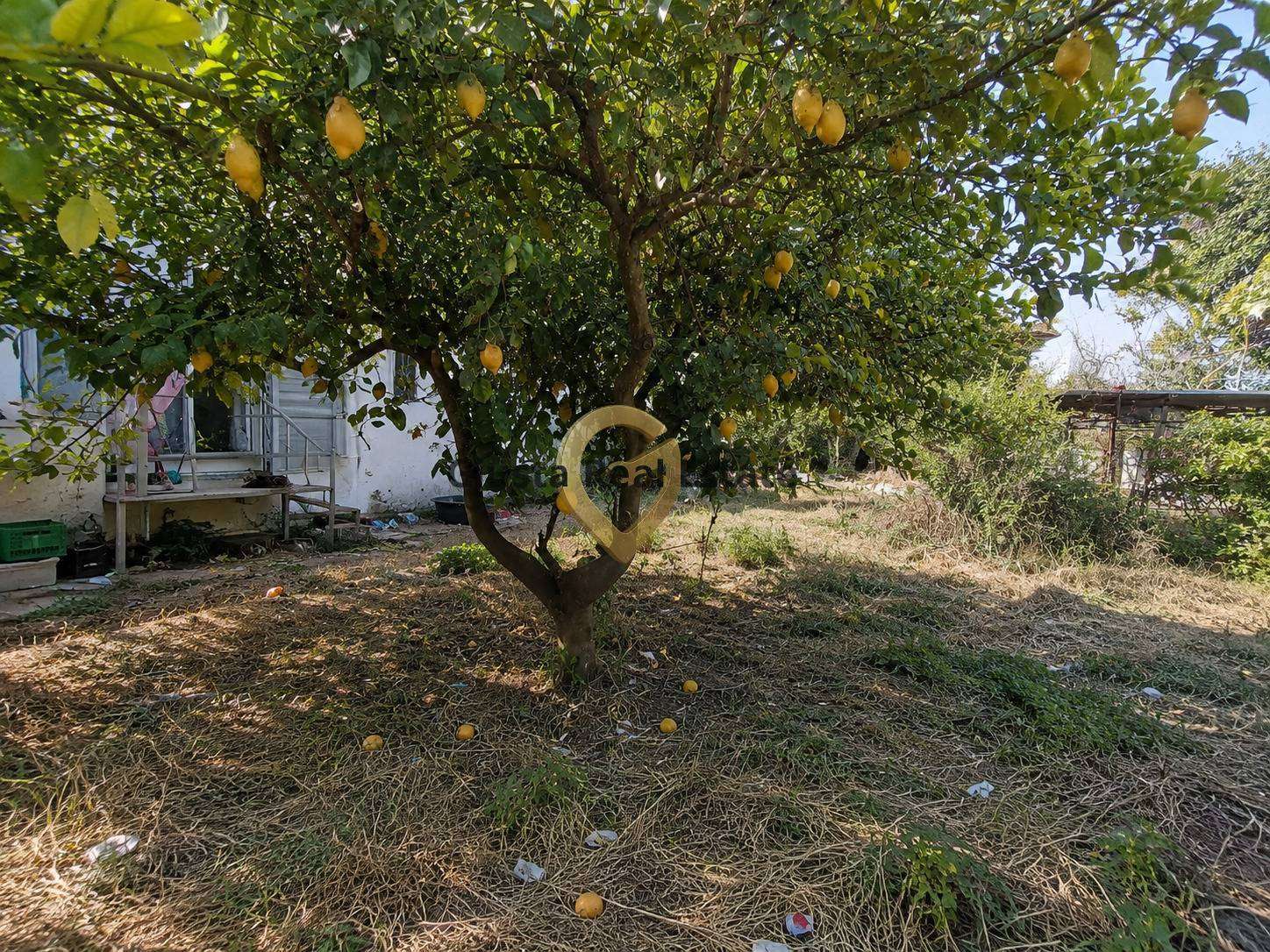  - foto 21