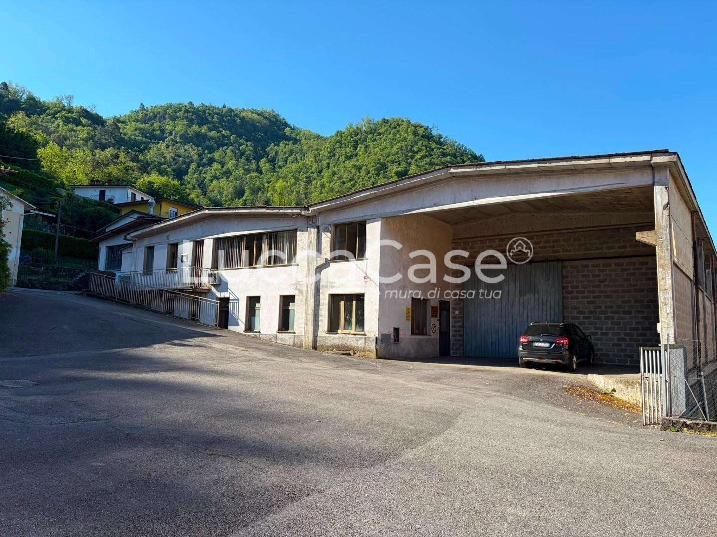 Capannone Via della Fontana,  4, Borgo a Mozzano