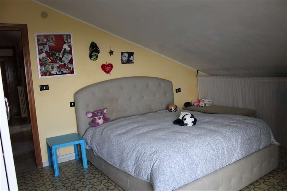  - foto 11