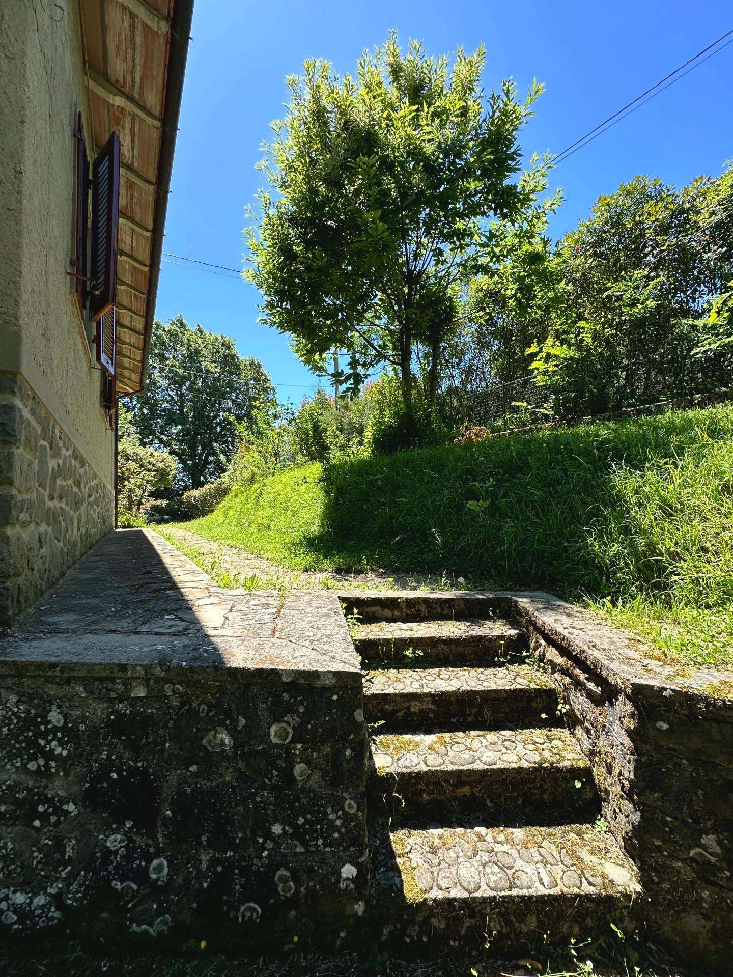  - foto 26