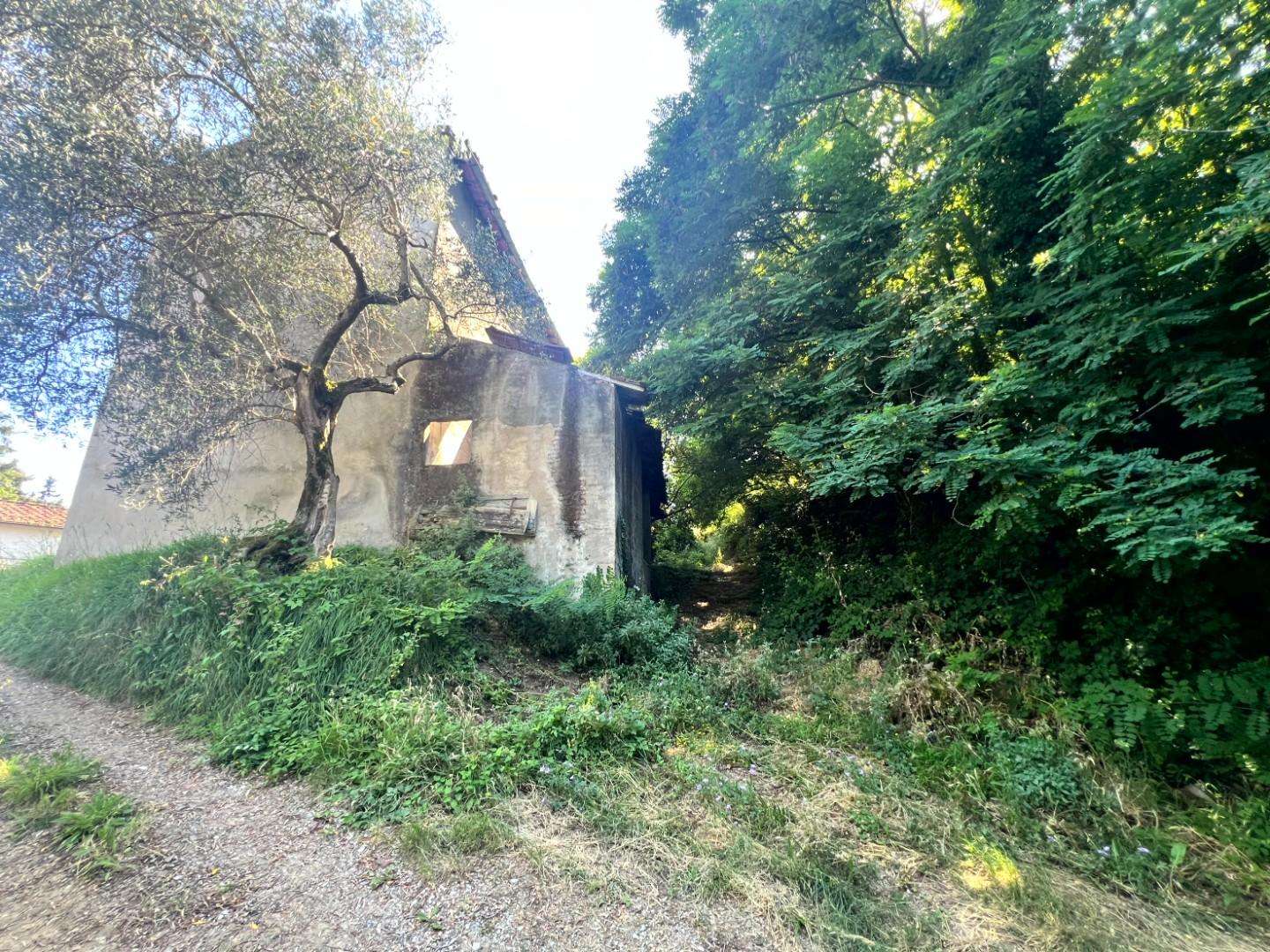  - foto 12