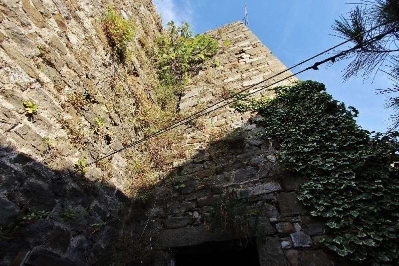 - foto 6