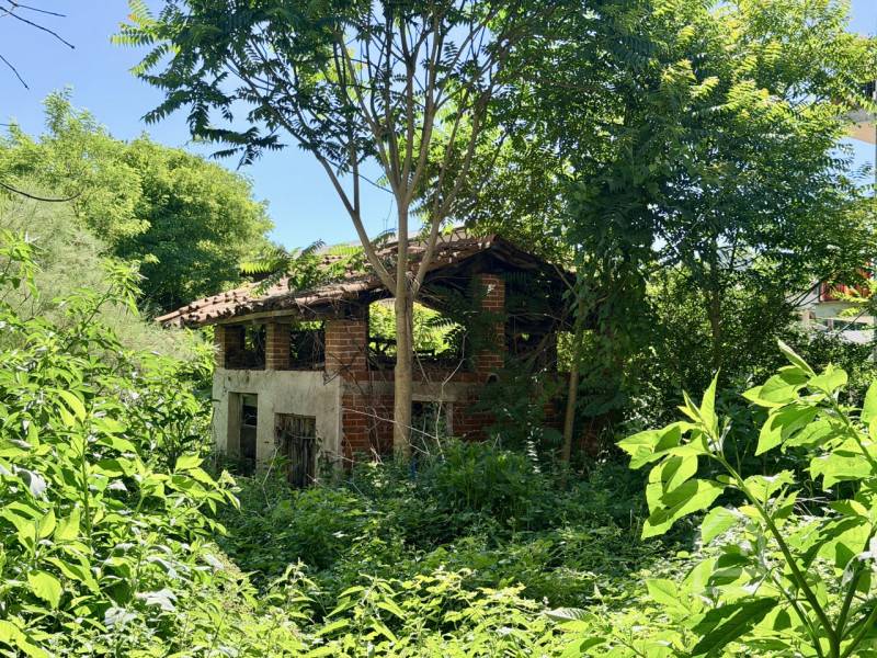  - foto 5