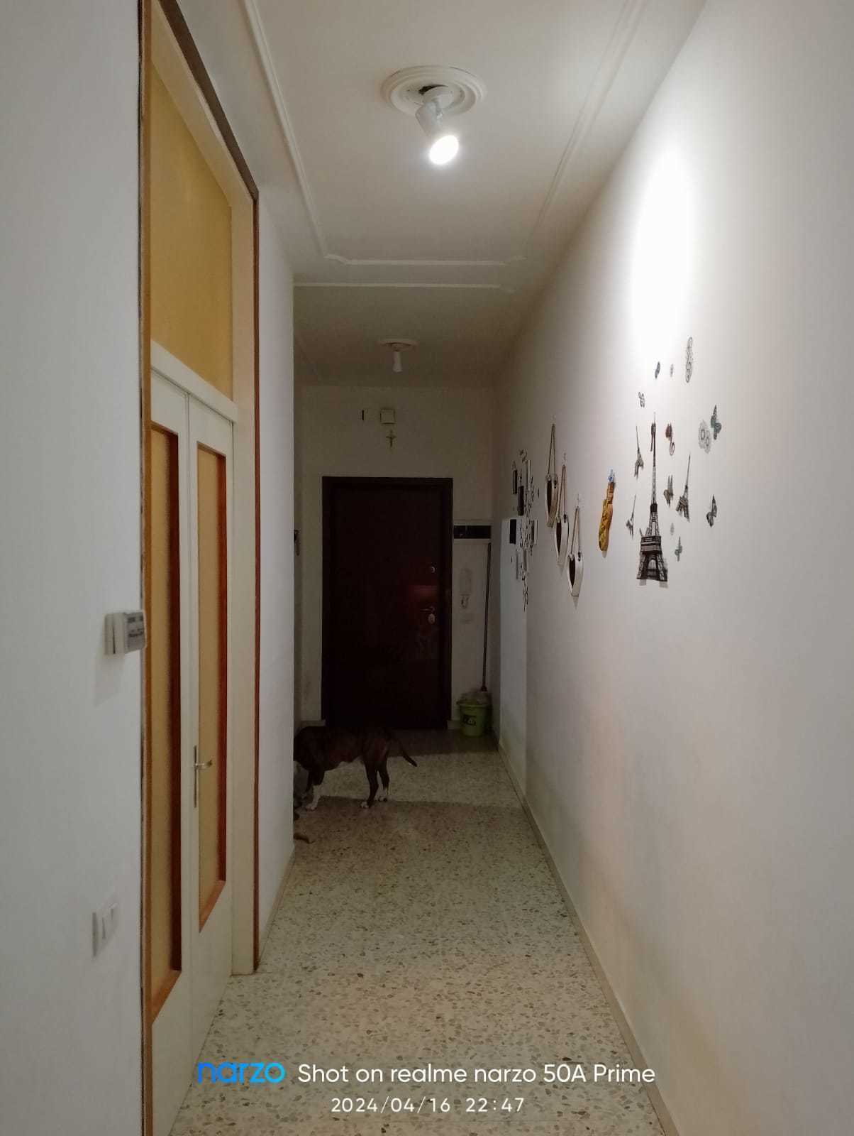  - foto 9