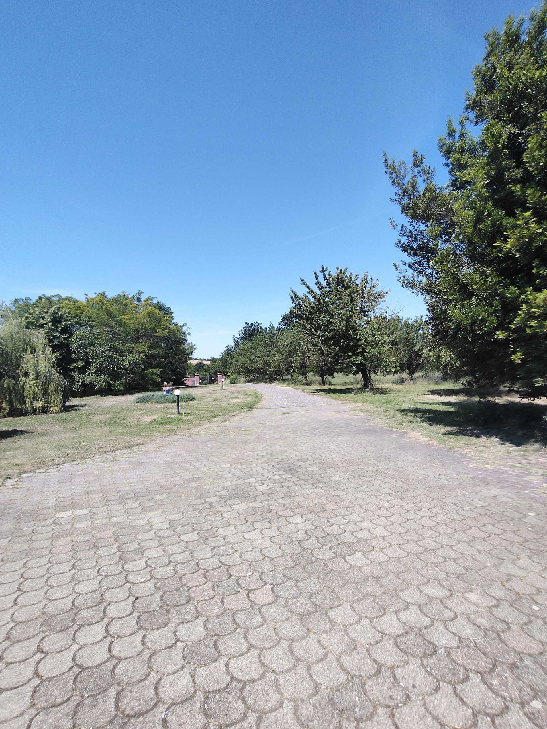  - foto 38