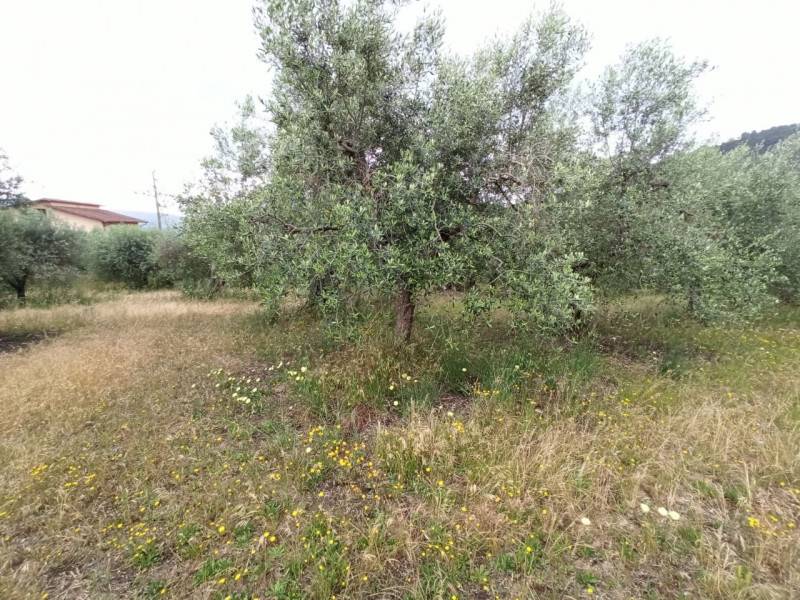  - foto 4