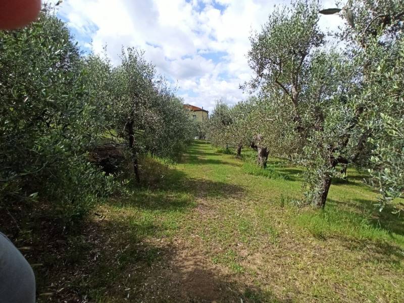  - foto 10