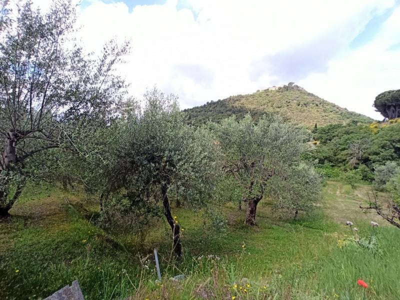  - foto 8