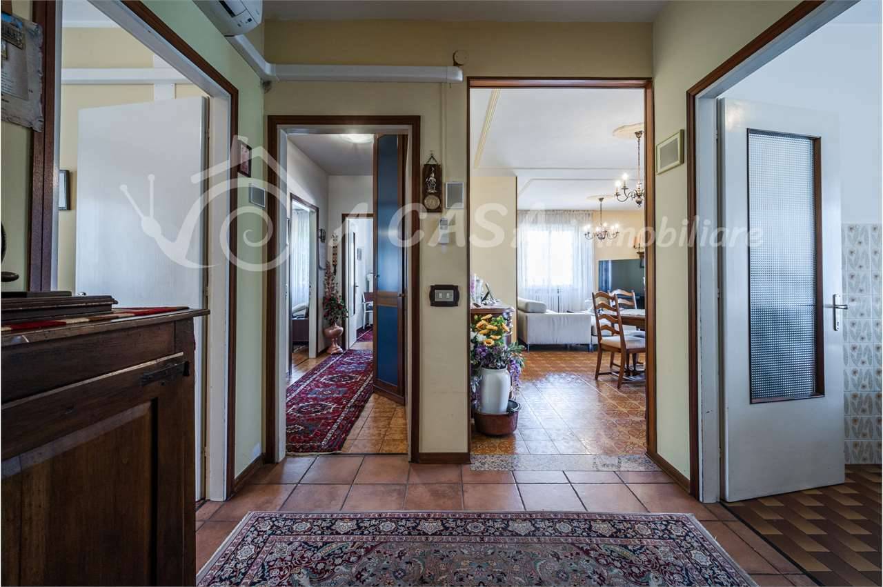  - foto 5