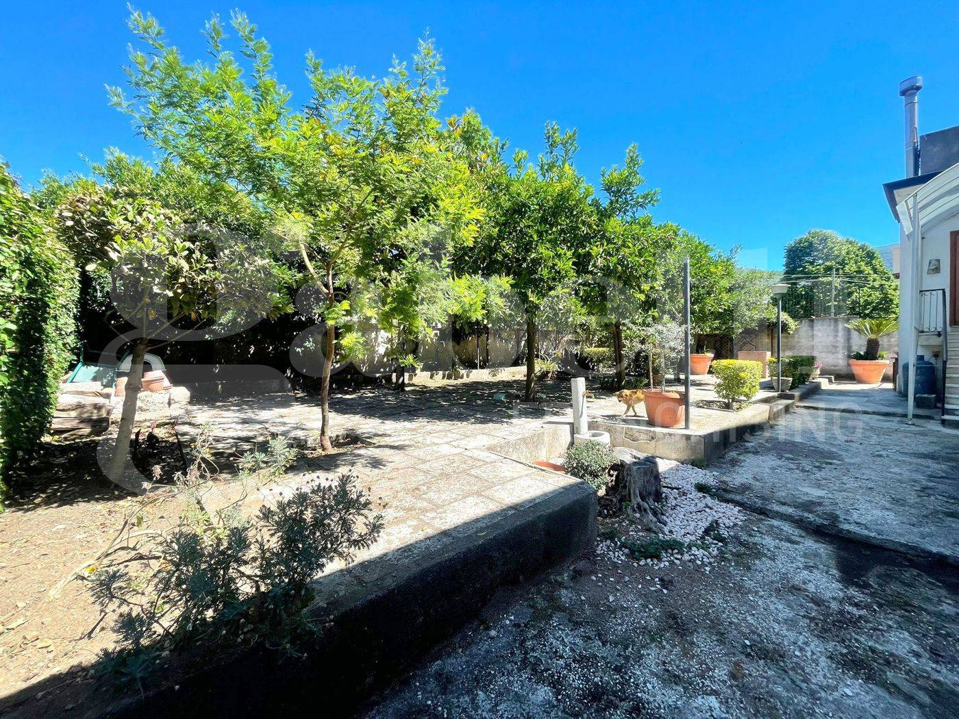Appartamento, Piedimonte Matese