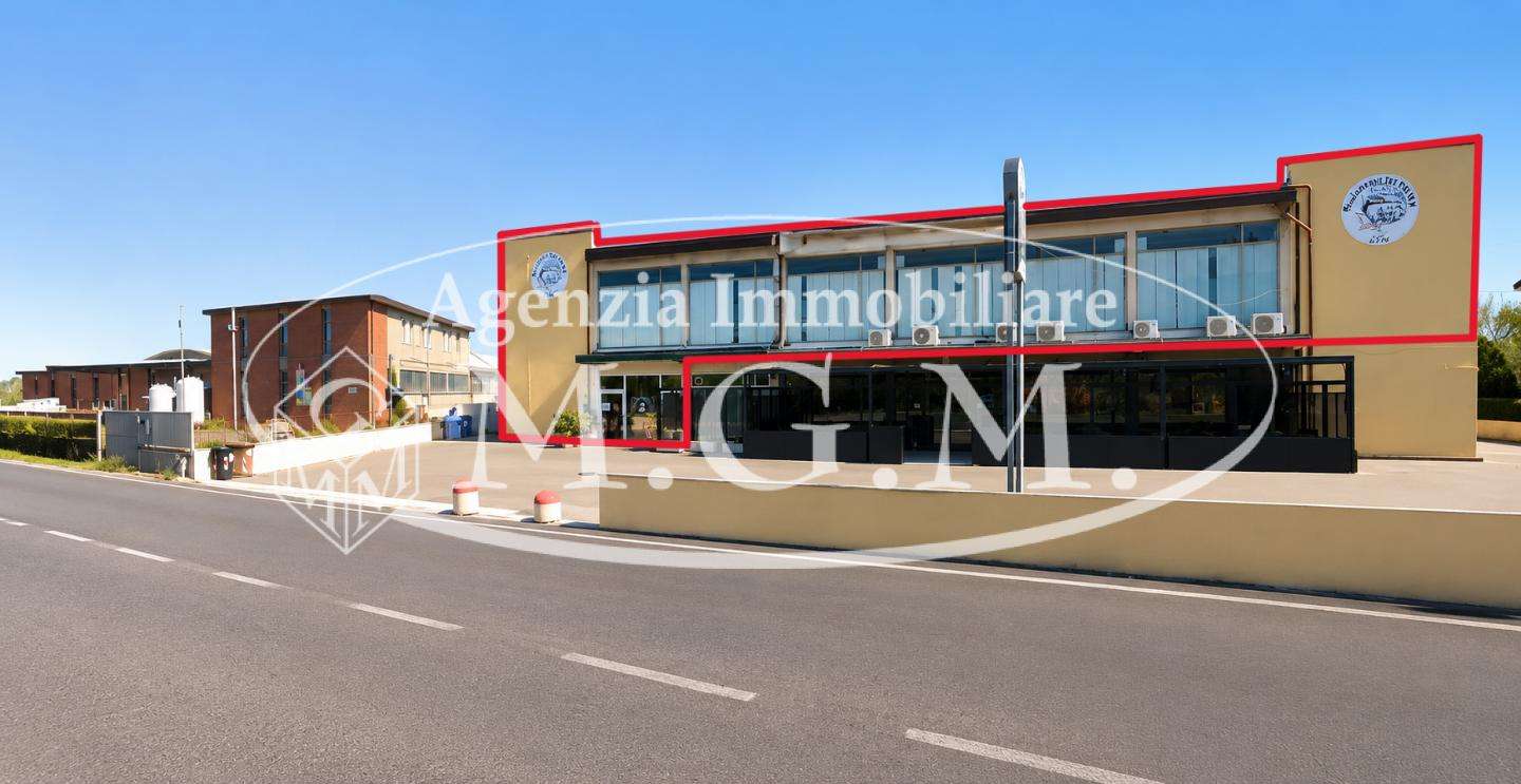 Locale commerciale Vicopisano, Vicopisano