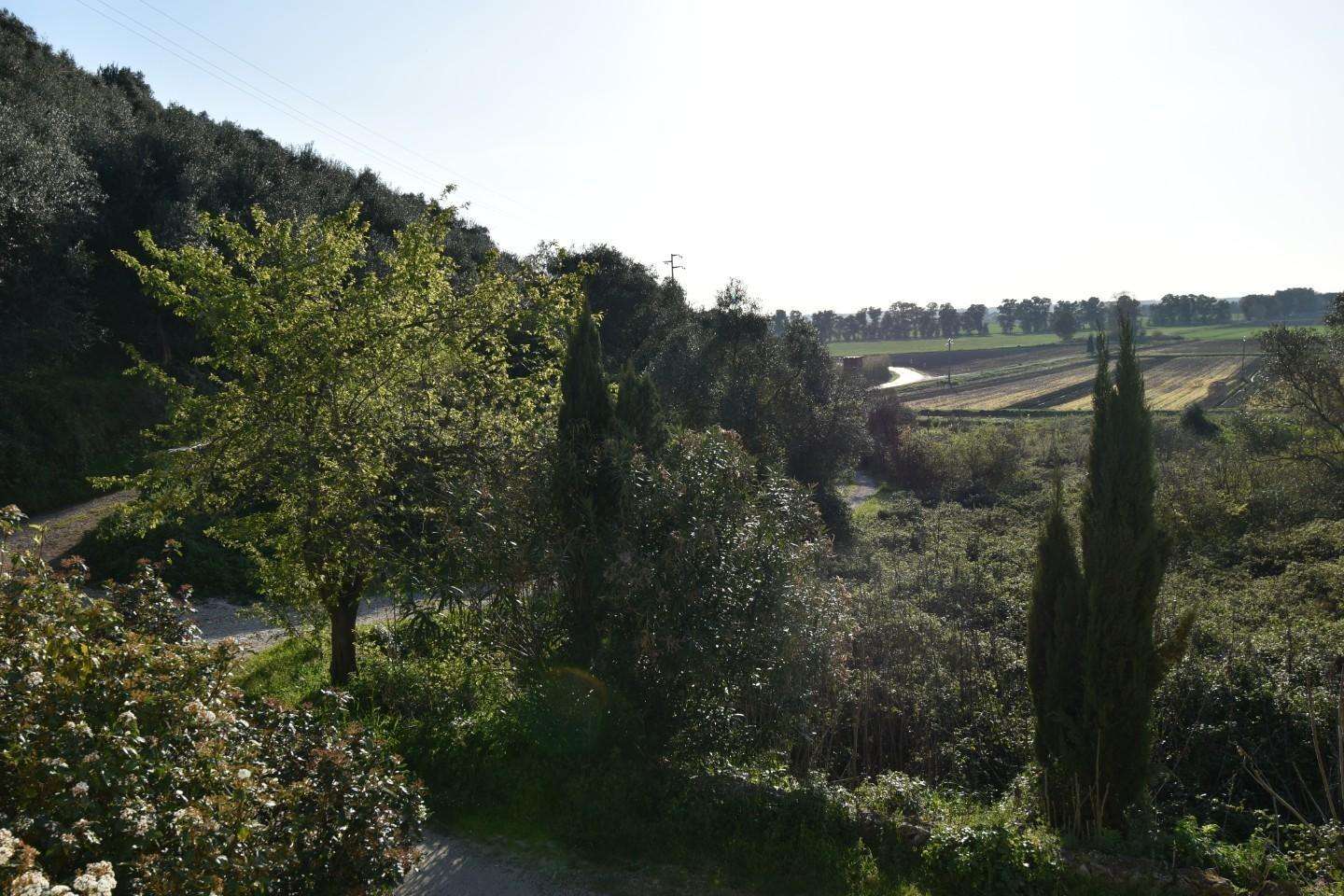  - foto 31