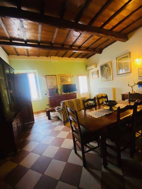  - foto 11