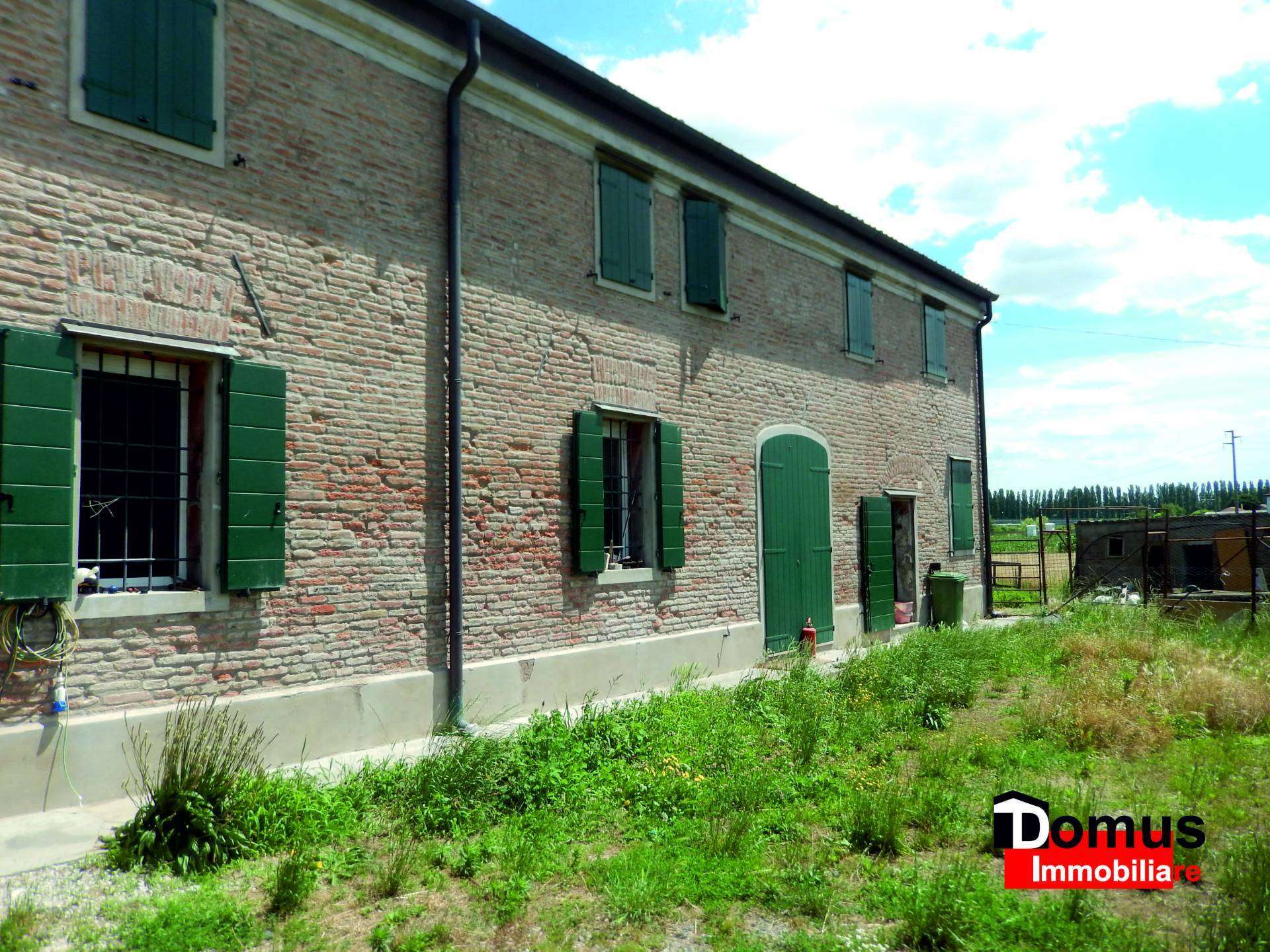 Rustico, Ferrara