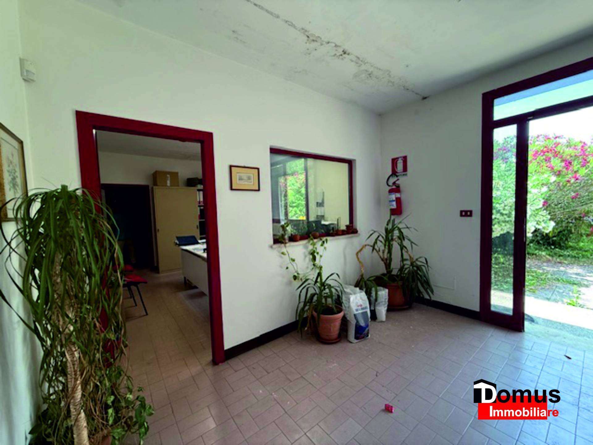  - foto 12