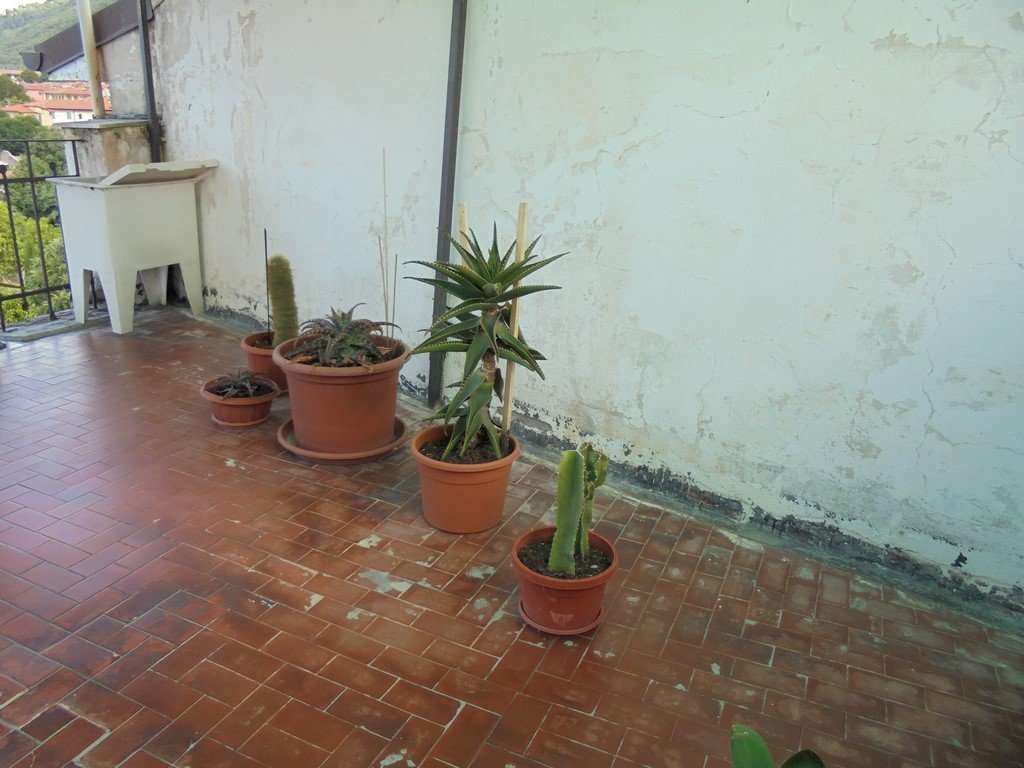  - foto 5
