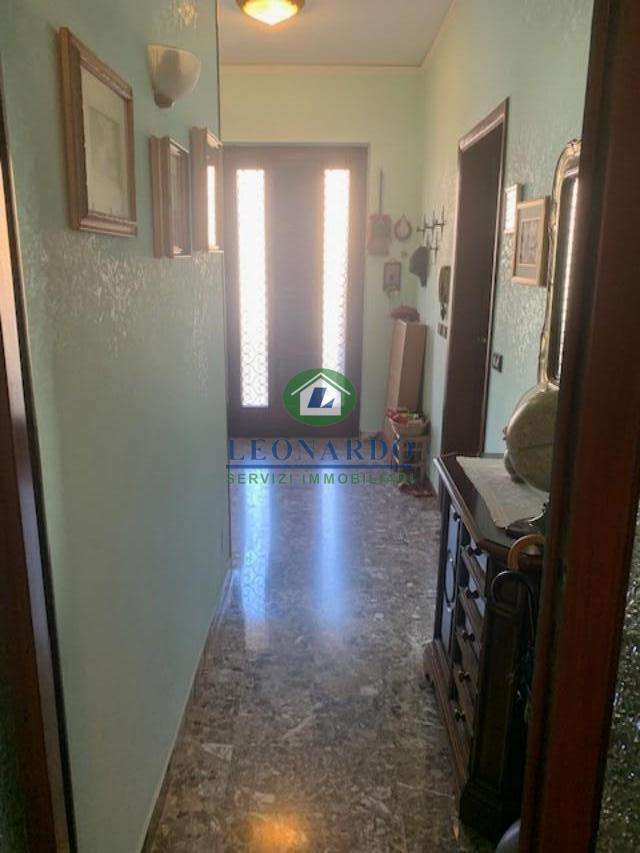  - foto 17