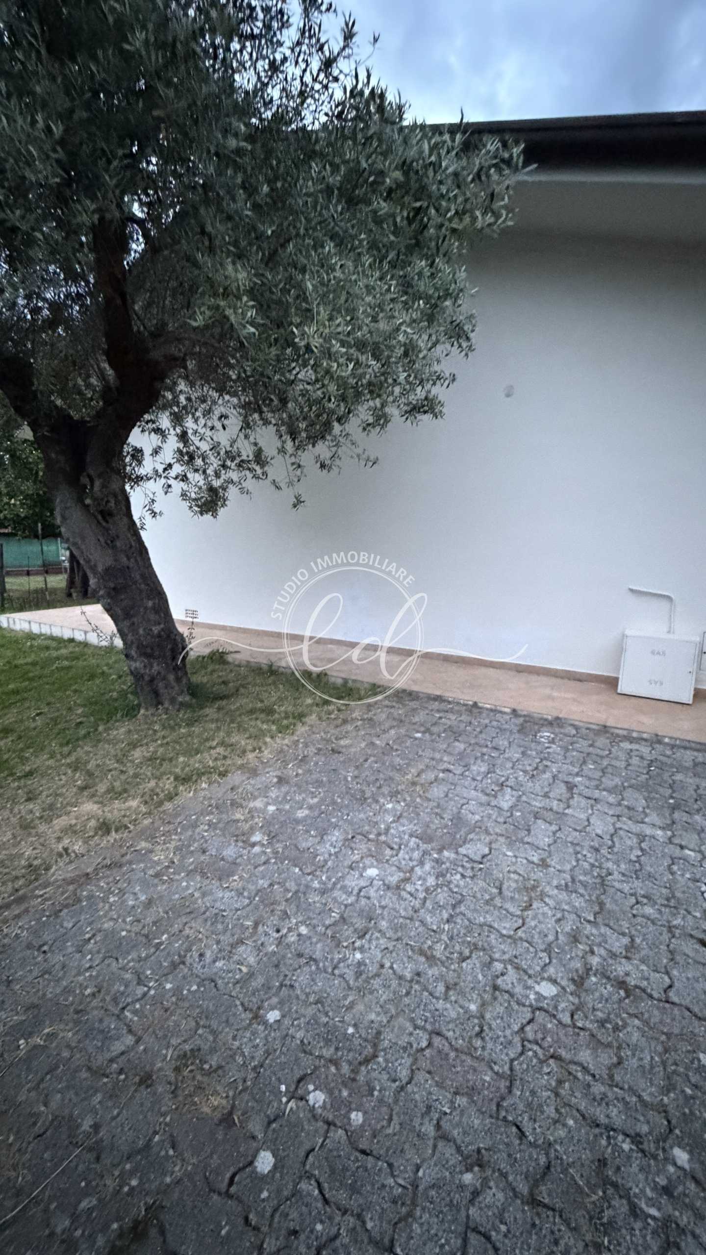  - foto 2