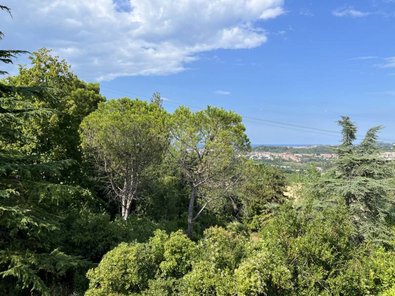Altro Candia, Ancona