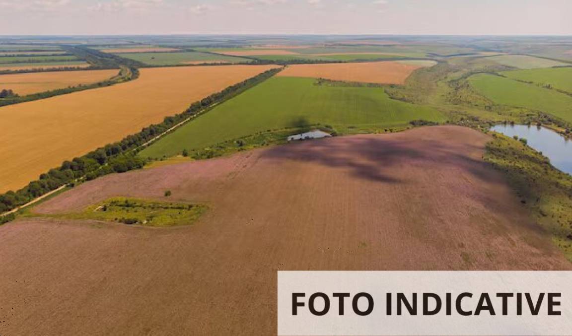  - foto 5