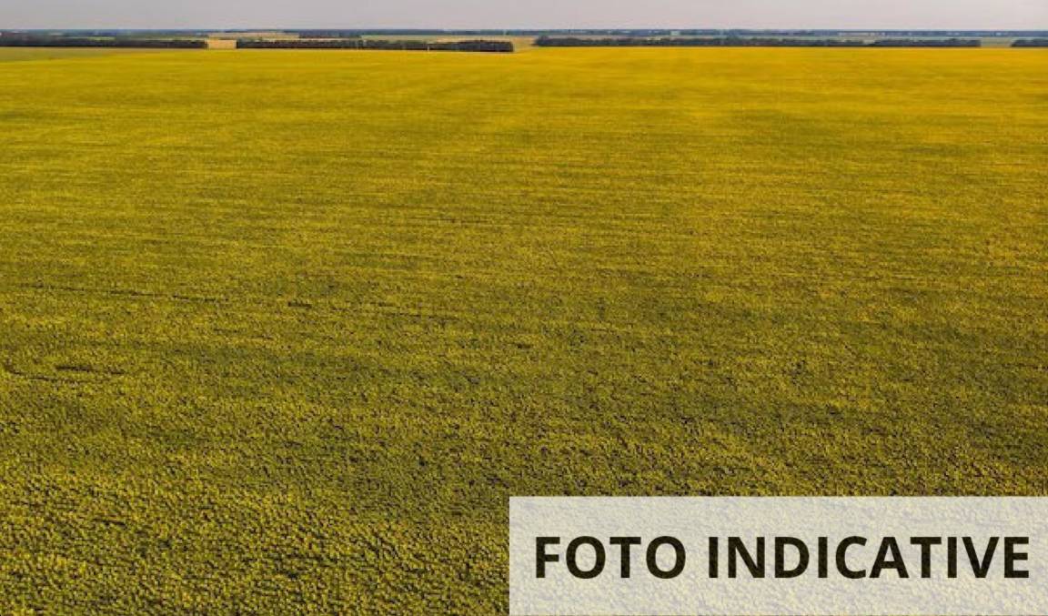  - foto 8