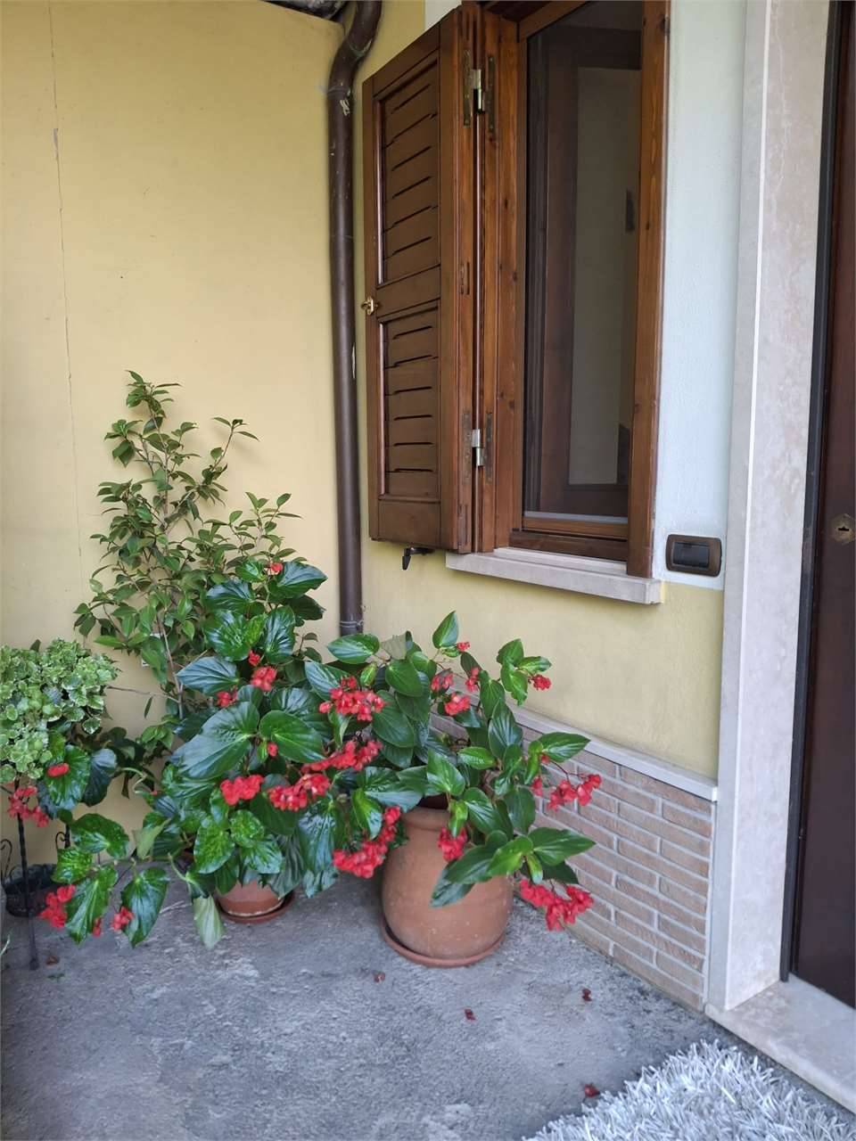 - foto 2