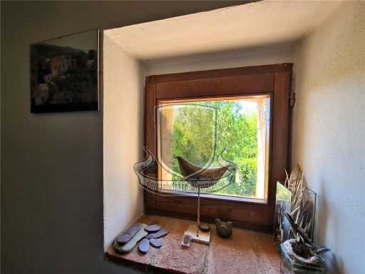  - foto 23
