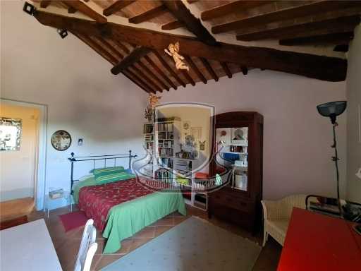  - foto 34